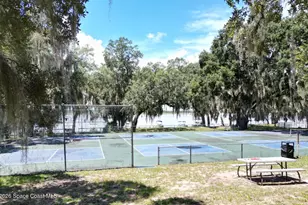 25091 NE 143rd Pl, Fort Mc Coy, FL 32134 - Photo 23