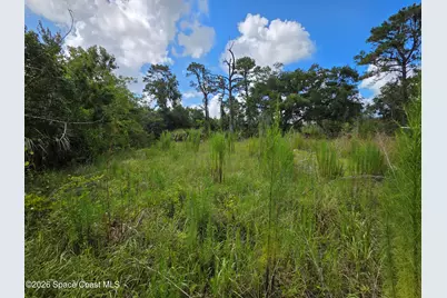 4863 Meadow Green Road, Mims, FL 32754 - Photo 7