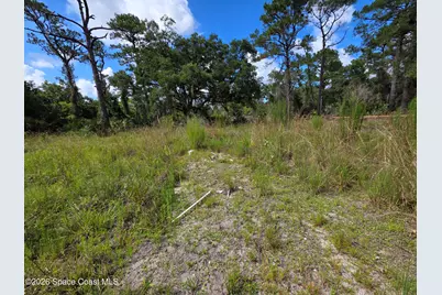 4863 Meadow Green Road, Mims, FL 32754 - Photo 9