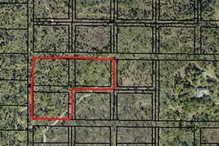 0001 N Access West Of Corey Rd, Grant-Valkaria, FL 32950 - Photo 1