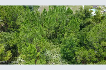 2926 Oakwood Avenue SE, Palm Bay, FL 32909 - Photo 3