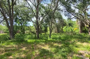 920 Malabar Rd, Malabar, FL 32950 - Photo 7