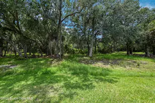 349 Plantation Dr, Titusville, FL 32780 - Photo 45