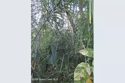 4824 Curtis Boulevard, Cocoa, FL 32927 - Photo 3