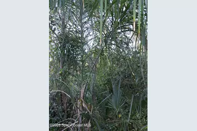 4824 Curtis Boulevard, Cocoa, FL 32927 - Photo 5