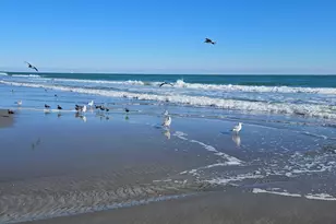 [Address not provided], , FL - Photo 39