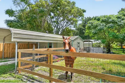3575 Carter Road, Mims, FL 32754 - Photo 37
