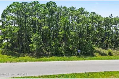 1681 Desco Street SE, Palm Bay, FL 32909 - Photo 45