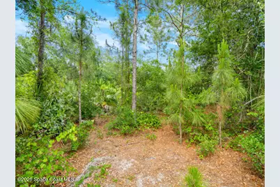 1261 Rainbow Road SE, Palm Bay, FL 32909 - Photo 3