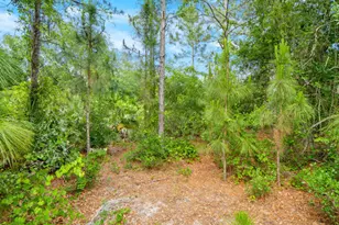 1261 Rainbow Rd SE, Palm Bay, FL 32909 - Photo 3