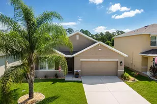3633 Sandhill Crane Cir, Mims, FL 32754 - Photo 1