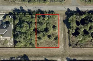 806 Novak St SW, Palm Bay, FL 32908 - Photo 1