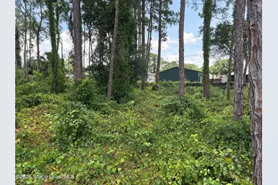 1524 Holbrook Road NW, Palm Bay, FL 32907 - Photo 3