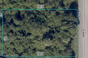 1673 Addie St, Sebastian, FL 32958 - Photo 1