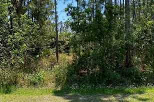 362 Frazer Street SW, Palm Bay, FL 32908 - Photo 1