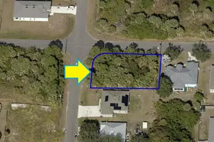 3361 Fox Hills Ave SW, Palm Bay, FL 32908 - Photo 1