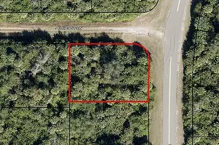 00 SE Madden Ave SW, Palm Bay, FL 32908 - Photo 1