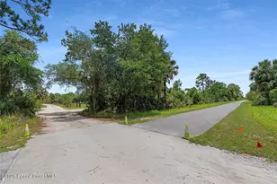 1851 Maytown Rd, Oak Hill, FL 32759 - Photo 41