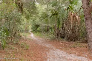 910 Brookshire Cir, Malabar, FL 32950 - Photo 43