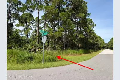000 Toronto Avenue SE, Palm Bay, FL 32909 - Photo 5