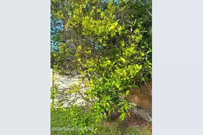1835 Longleaf Road, Cocoa, FL 32926 - Photo 39