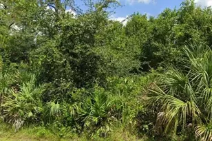 10680 91st St, Vero Beach, FL 32967 - Photo 1