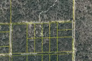 0000 NE 82nd Pl, Bronson, FL 32621 - Photo 1