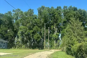 877 NW 126th Ln, Citra, FL 32113 - Photo 3