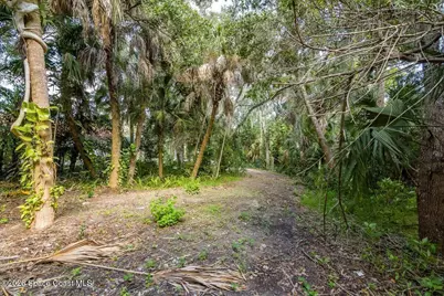 2940 Maritime Lane, Merritt Island, FL 32953 - Photo 13