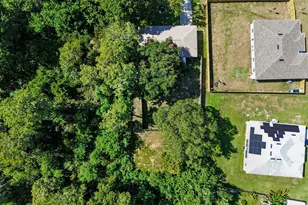 1309 Sagbloom St SE, Palm Bay, FL 32909 - Photo 39