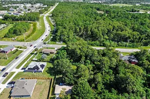 1309 Sagbloom St SE, Palm Bay, FL 32909 - Photo 43