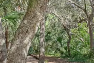 8708 Jasmine Ct, Cape Canaveral, FL 32920 - Photo 25
