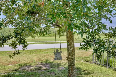 3020 Burrowing Owl Drive, Mims, FL 32754 - Photo 31