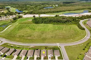 3020 Burrowing Owl Dr, Mims, FL 32754 - Photo 43