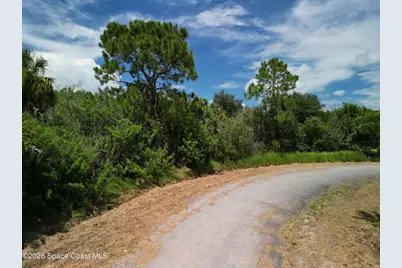 1848 Alwar Avenue SW, Palm Bay, FL 32908 - Photo 1