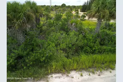 3362 Slimtwig Avenue SW, Palm Bay, FL 32908 - Photo 7