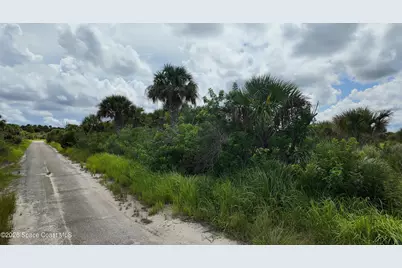 3362 Slimtwig Avenue SW, Palm Bay, FL 32908 - Photo 11