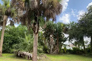 481 Harrington St SW, Palm Bay, FL 32908 - Photo 17