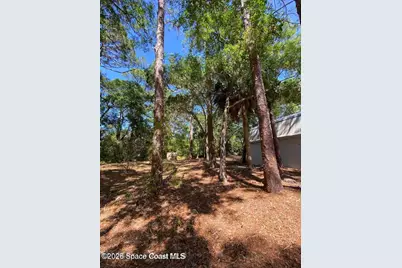 7370 Turkey Point Drive, Titusville, FL 32780 - Photo 43
