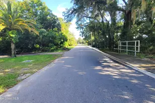 2529 Mitchell Ave, Mims, FL 32754 - Photo 5