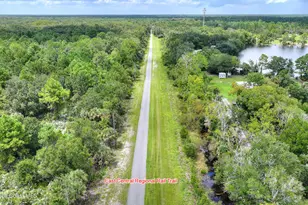 3934 Burkholm Rd, Mims, FL 32754 - Photo 79