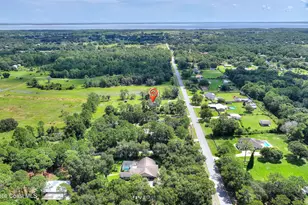 3934 Burkholm Rd, Mims, FL 32754 - Photo 75