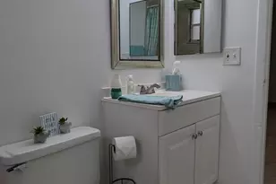 1633 Sunny Brook Ln NE, Palm Bay, FL 32905 - Photo 19