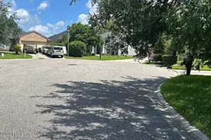 917 Fox Chaple Ln, Jacksonville, FL 32221 - Photo 5