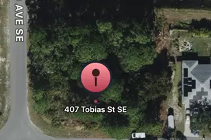 407 Tobias Street SE, Palm Bay, FL 32909 - Photo 1