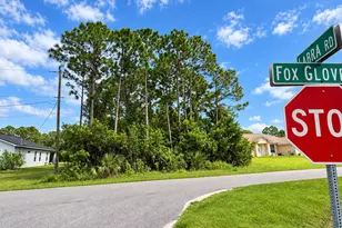 2801 Foxglove Ave SW, Palm Bay, FL 32908 - Photo 1