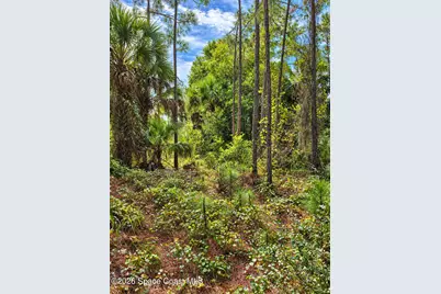 0000 Fox Lake Road, Titusville, FL 32780 - Photo 3