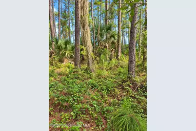 0000 Fox Lake Road, Titusville, FL 32780 - Photo 5
