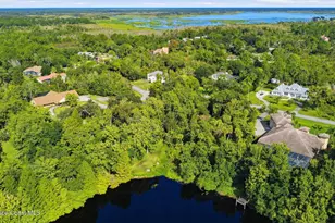 3869 Rambling Acres Dr, Titusville, FL 32796 - Photo 83