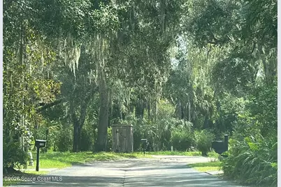 9117 Wood Terrace Drive, Tampa, FL 33637 - Photo 5